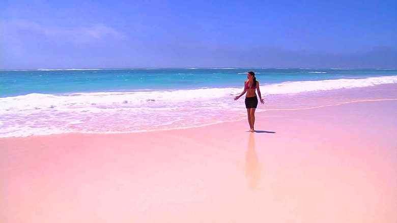 Harbor Beach - Bahamas