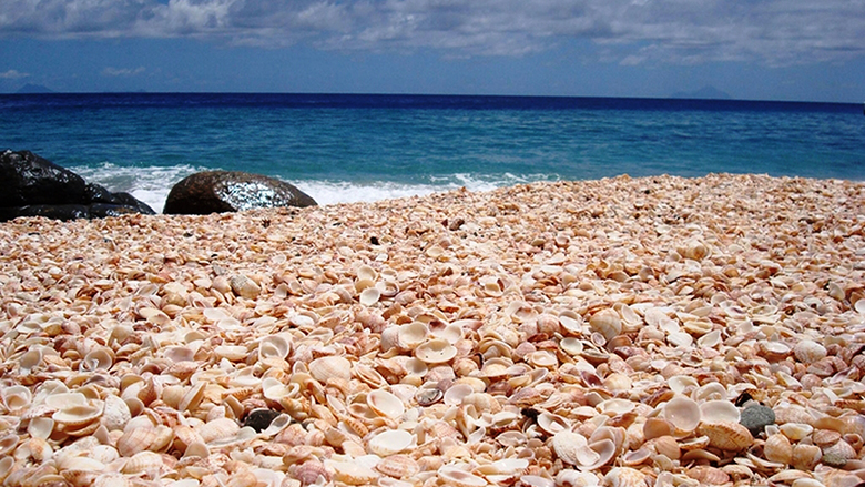 Shell Beach - Australia