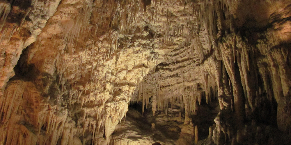 Waitomo Caves New Zealand