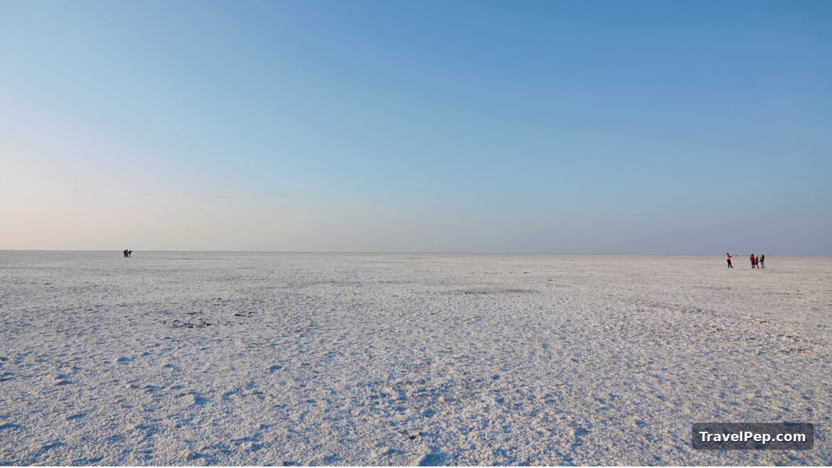 White Rann of Kutch salt flats stretching to the horizon, the setting of Rann Utsav